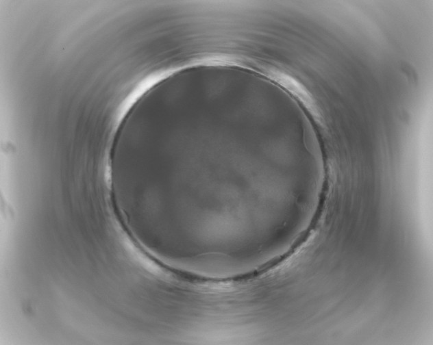 X0000091171428200708091156
