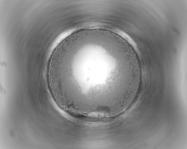 X0000091171429200708091156