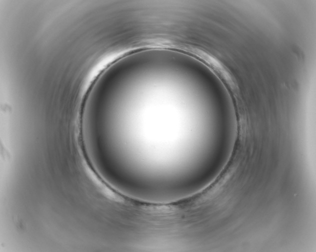 X0000091171432200708091156
