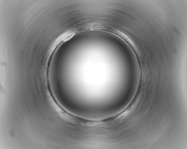 X0000091171434200708091156