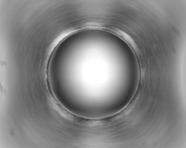 X0000091171435200708091156