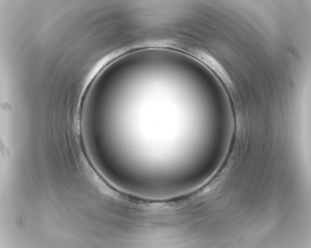 X0000091171436200708091156