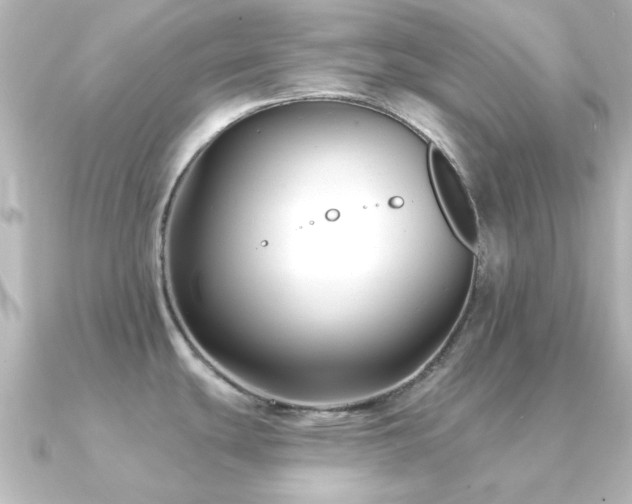 X0000091171439200708091156