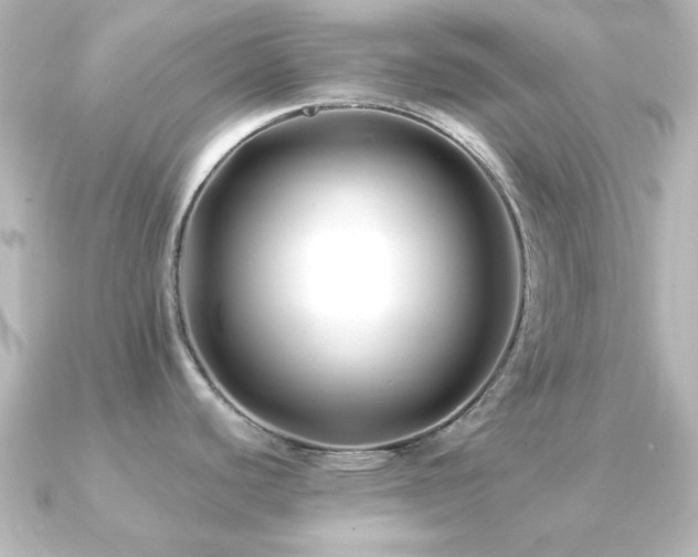 X0000091171440200708091156