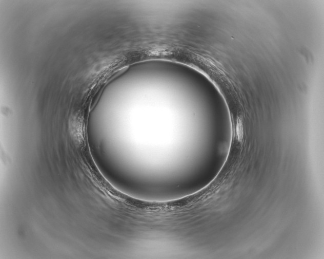 X0000091171444200708091156