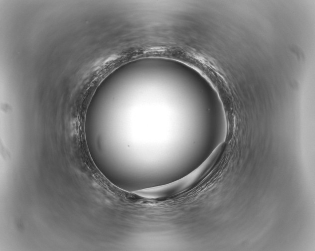 X0000091171445200708091156