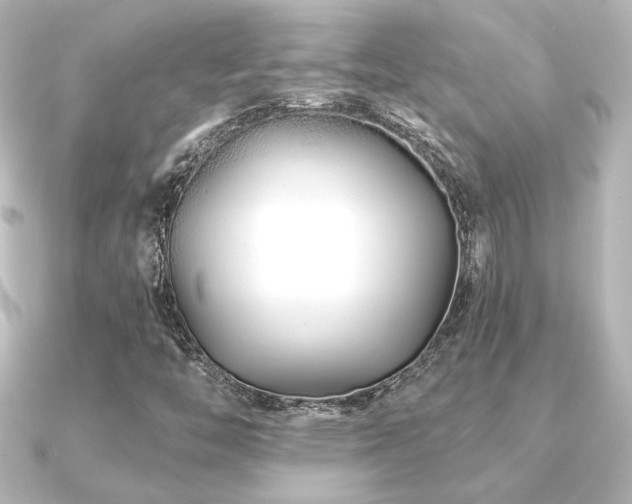 X0000091171446200708091156