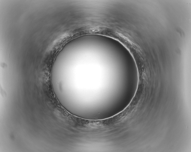 X0000091171447200708091156