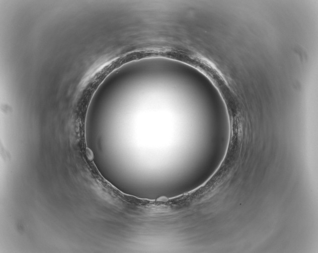 X0000091171448200708091156