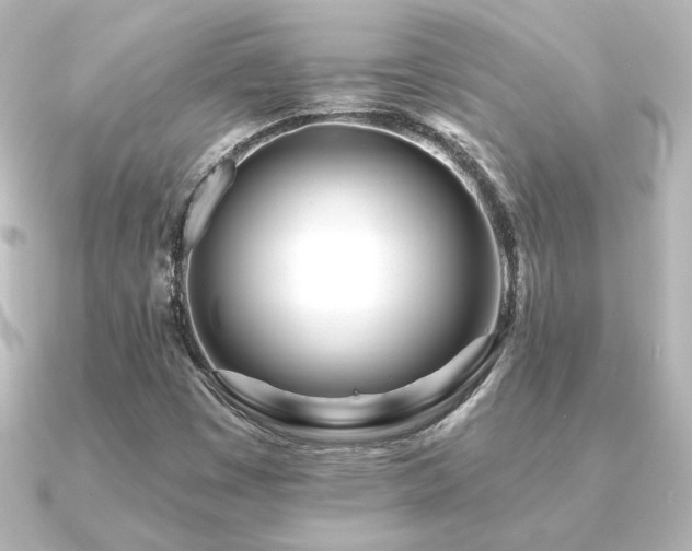 X0000091171449200708091156