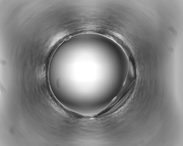 X0000091171450200708091156