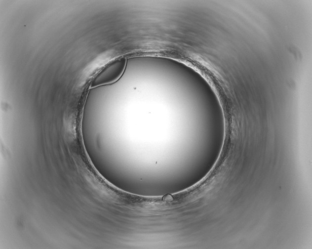 X0000091171451200708091156