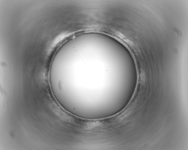 X0000091171454200708091156