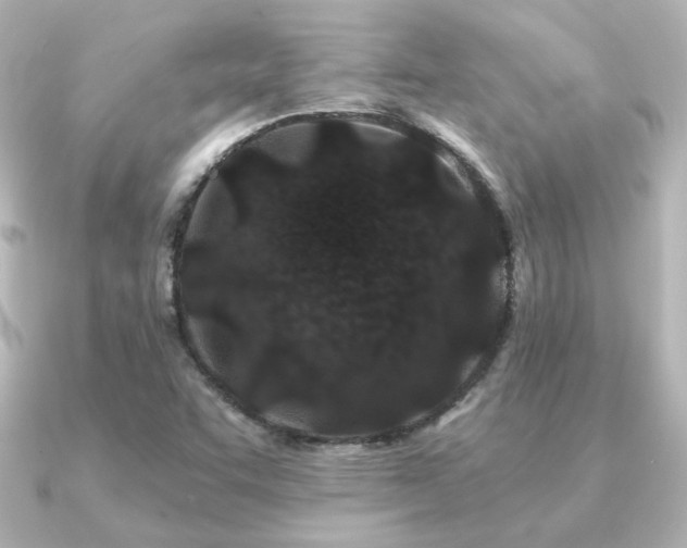 X0000091171455200708091156