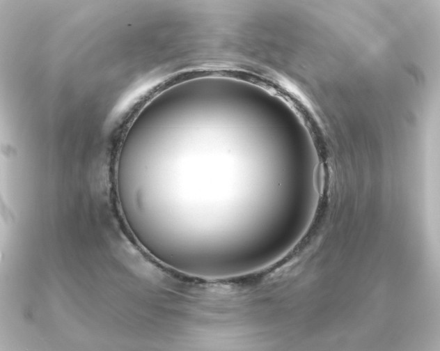 X0000091171456200708091156