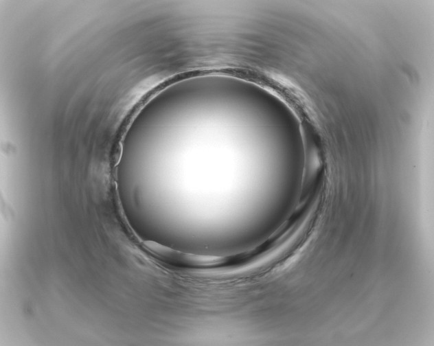 X0000091171457200708091156