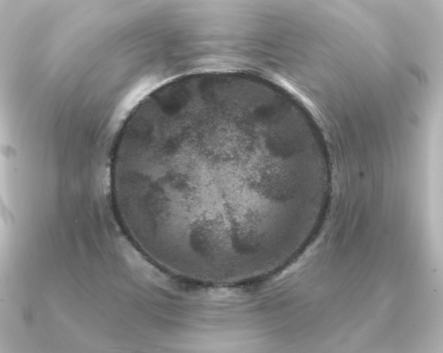 X0000091171459200708091156
