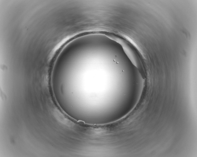X0000091171460200708091156