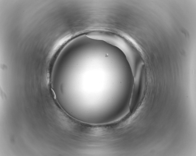 X0000091171461200708091156