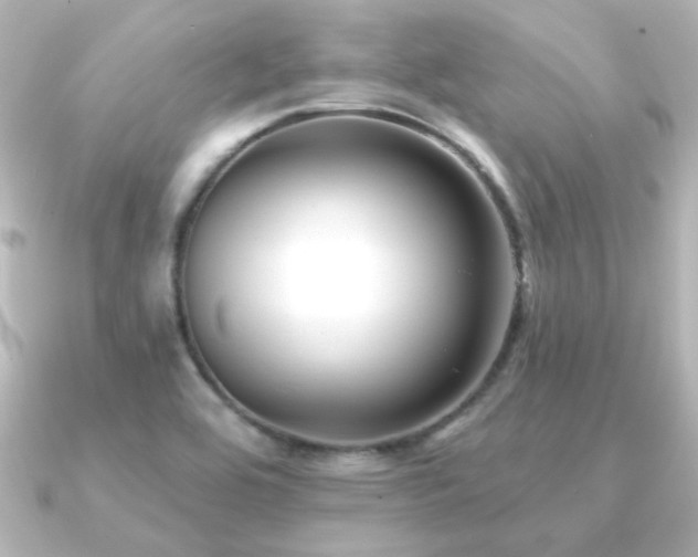 X0000091171464200708091156