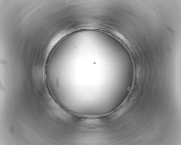X0000091171466200708091156