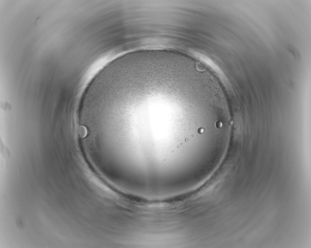 X0000091171467200708091156