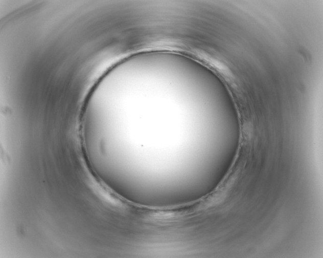 X0000091171470200708091156