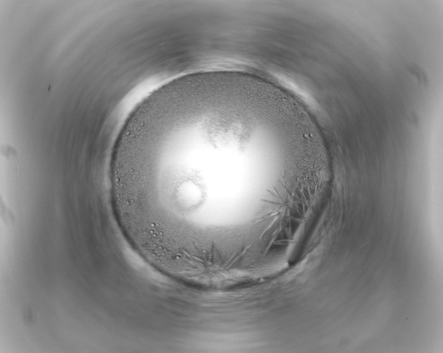 X0000091171471200708091156