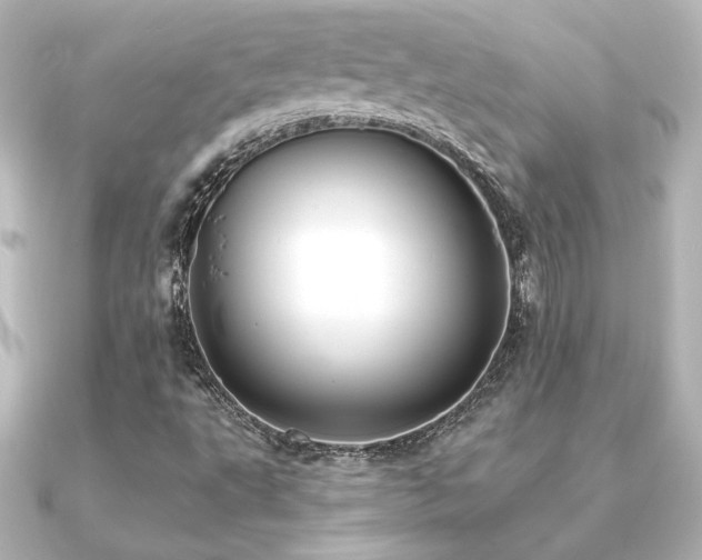 X0000091171495200708091155