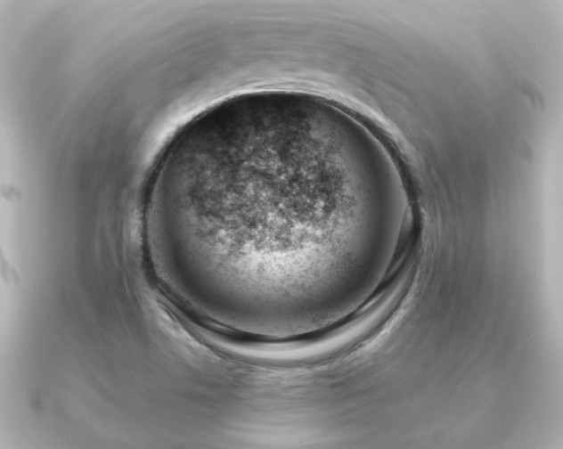 X0000091171506200708091155