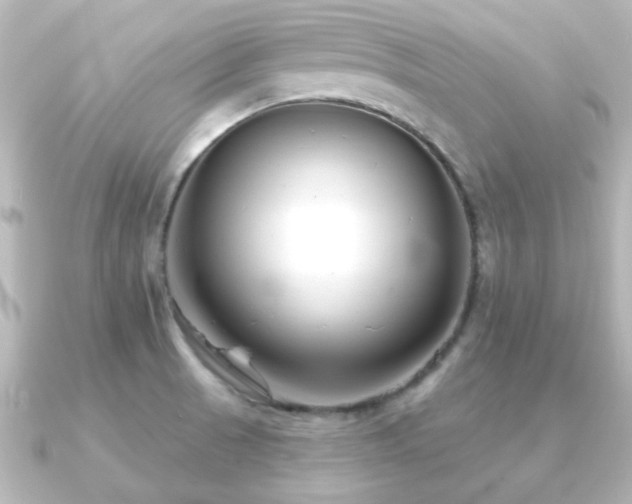 X0000091171521200708091155