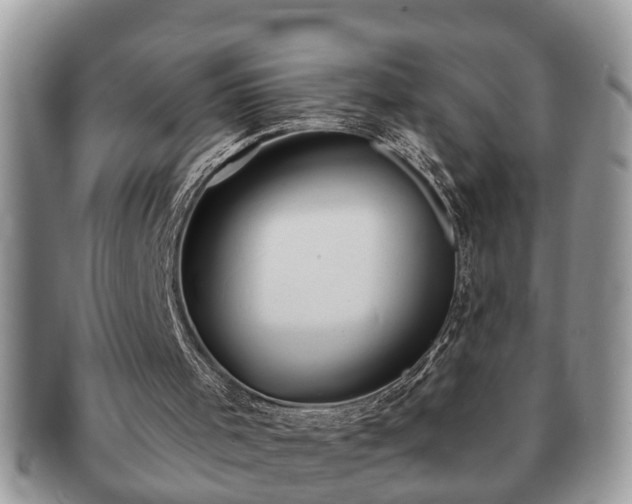 X0000091170001200708161507