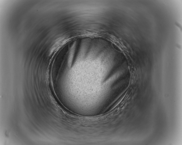 X0000091170002200708161507