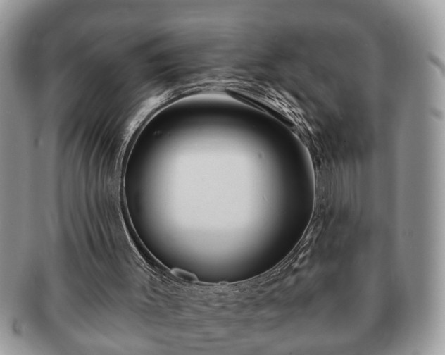 X0000091170003200708161507