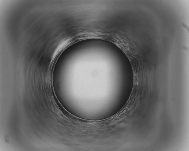 X0000091170004200708161507