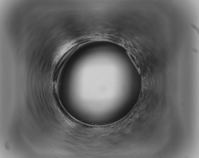 X0000091170005200708161507