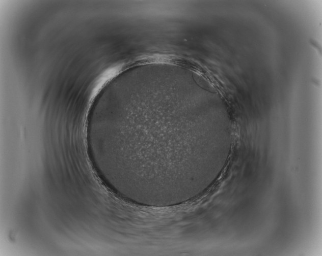 X0000091170006200708161507