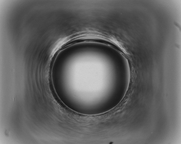 X0000091170007200708161507