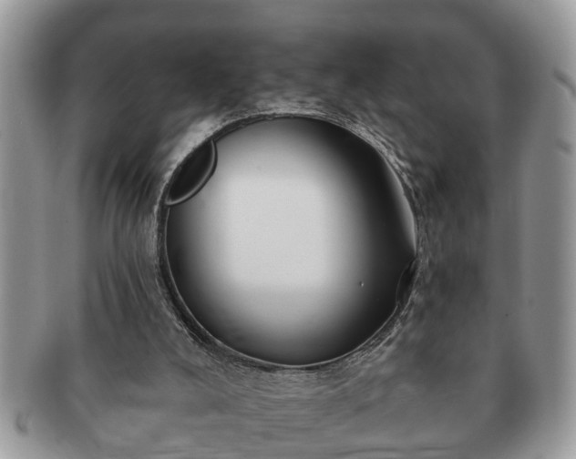 X0000091170008200708161507