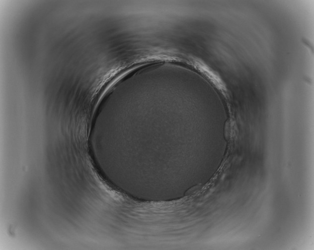 X0000091170009200708161507