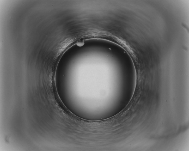 X0000091170010200708161507