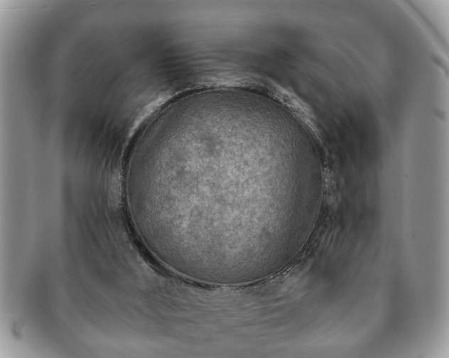 X0000091170012200708161507