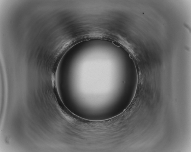 X0000091170013200708161507