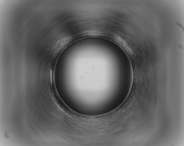 X0000091170014200708161507