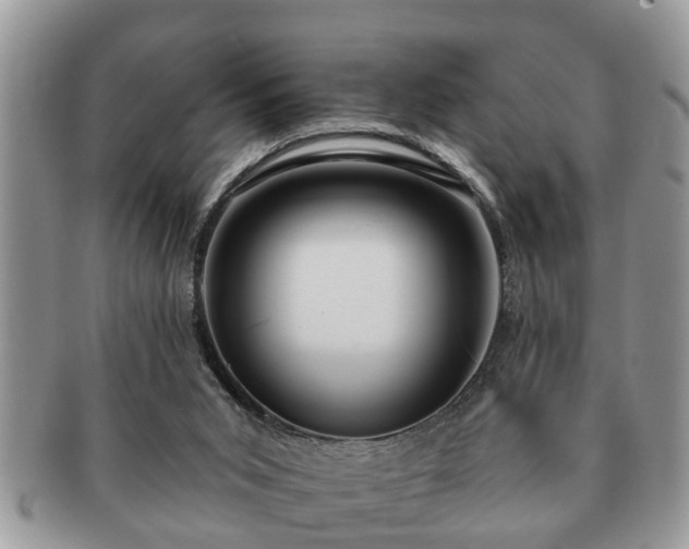 X0000091170015200708161507