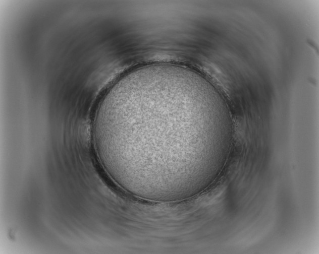 X0000091170016200708161507