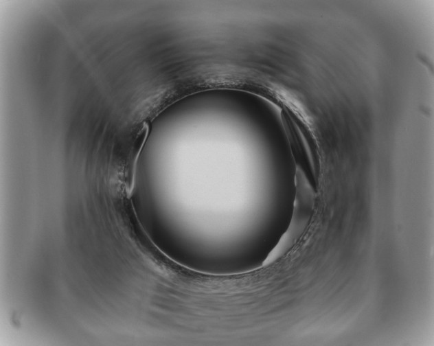 X0000091170017200708161507