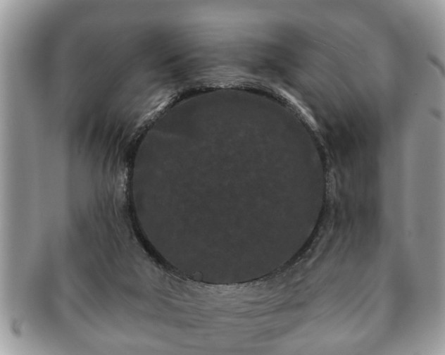 X0000091170018200708161507