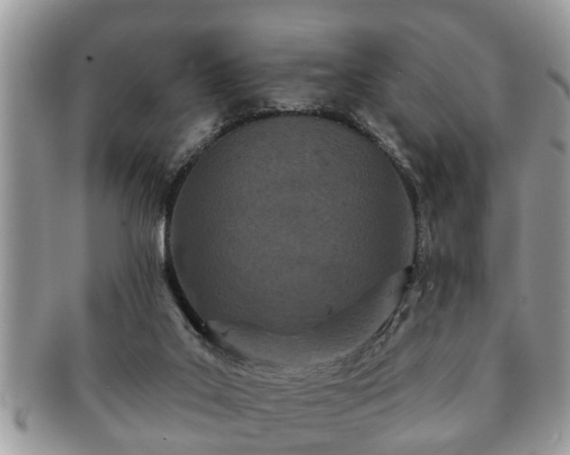 X0000091170019200708161507