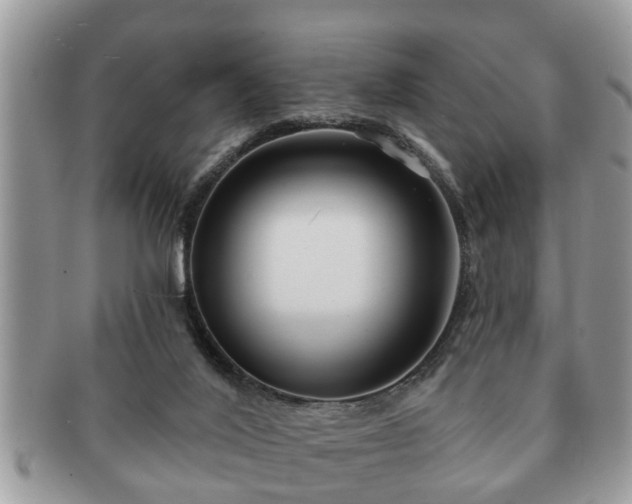 X0000091170020200708161507